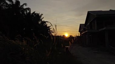 Kırsal patika boyunca uzanan uzun yaban otları günbatımı gökyüzü mesafesinde.