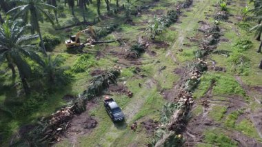 Perak, Malezya. 20 Kasım 2025: Çekiç buldozerli Tırtıl Kazısı 'nın izole Palm Petrol Çiftliği' ndeki palmiye yağı ağaçlarını iterek, çekerek ve keserek araziyi temizlediği hava sahnesi, Kg Koh.  