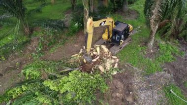 Perak, Malezya. 20 Kasım 2025: Çekiç buldozerli Tırtıl Kazısı 'nın izole Palm Petrol Çiftliği' ndeki palmiye yağı ağaçlarını iterek, çekerek ve keserek araziyi temizlediği hava sahnesi, Kg Koh.  