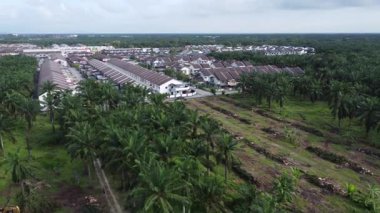 Palmiye yağı plantasyonundan uzak banliyö ufkuna doğru bir hava manzarası..