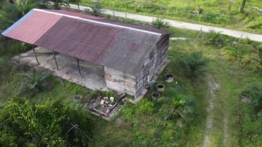 Palmiye yağı plantasyonundan uzak banliyö ufkuna doğru bir hava manzarası..