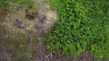 Hava sahnesinde bitki örtüsüne ya da yerden yükselen herhangi bir nesneye bakıyoruz..  
