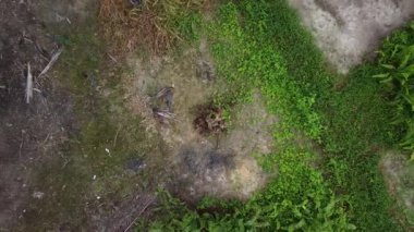 Hava sahnesinde bitki örtüsüne ya da yerden yükselen herhangi bir nesneye bakıyoruz..  