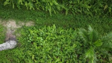 Hava sahnesinde bitki örtüsüne ya da yerden yükselen herhangi bir nesneye bakıyoruz..  