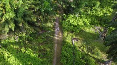 Çiftlik arazisindeki kırsal yolda insansız hava aracı uçuran bir adamın hava görüntüleri..