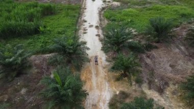 Çiftlik arazisindeki kırsal yolda insansız hava aracı uçuran bir adamın hava görüntüleri..