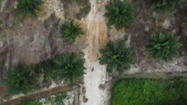 Çiftlik arazisindeki kırsal yolda insansız hava aracı uçuran bir adamın hava görüntüleri..