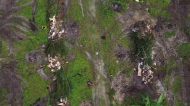 Çiftlik arazisindeki kırsal yolda insansız hava aracı uçuran bir adamın hava görüntüleri..