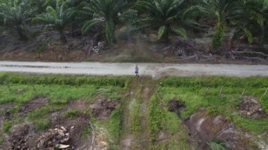 Çiftlik arazisindeki kırsal yolda insansız hava aracı uçuran bir adamın hava görüntüleri..