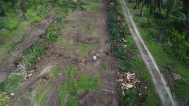 Çiftlik arazisindeki kırsal yolda insansız hava aracı uçuran bir adamın hava görüntüleri..