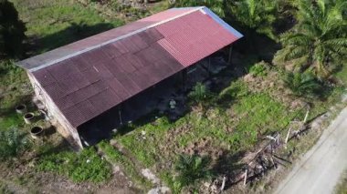 Çiftlikteki terk edilmiş kulübede insansız hava aracı uçuran bir adamın hava görüntüleri..  