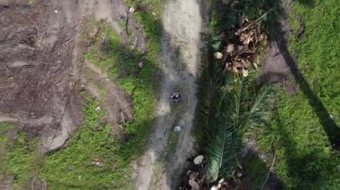 Çiftlik arazisindeki kırsal yolda insansız hava aracı uçuran bir adamın hava görüntüleri..