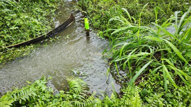 Yağmur suyunun güzel manzarası insan yapımı drenaj siperi boyunca akıyor..