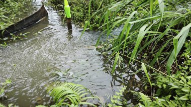 Yağmur suyunun güzel manzarası insan yapımı drenaj siperi boyunca akıyor..
