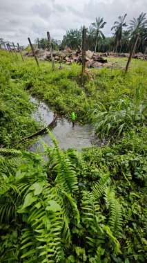Yağmur suyunun güzel manzarası insan yapımı drenaj siperi boyunca akıyor..