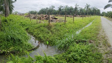 Yağmur suyunun güzel manzarası insan yapımı drenaj siperi boyunca akıyor..