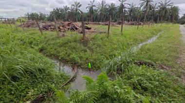 Yağmur suyunun güzel manzarası insan yapımı drenaj siperi boyunca akıyor..
