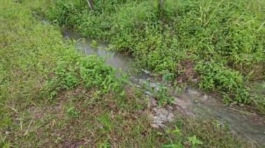 Yağmur suyunun güzel manzarası insan yapımı drenaj siperi boyunca akıyor..