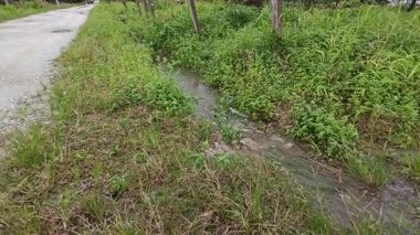 Yağmur suyunun güzel manzarası insan yapımı drenaj siperi boyunca akıyor..
