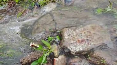 Yağmur suyunun güzel manzarası insan yapımı drenaj siperi boyunca akıyor..