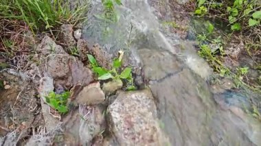 Yağmur suyunun güzel manzarası insan yapımı drenaj siperi boyunca akıyor..