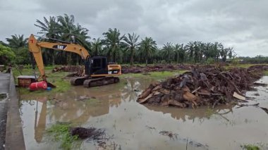 Perak, Malezya. 25 Kasım 2025: Çekiç buldozerli Tırtıl Kazıcısı izole edilmiş Palm Petrol Tarlası 'nın su basmış arazisine park etmiş traktör tipi tekerli, Kg Koh.