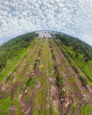 hava panoramik farklı gökyüzü görünümlü tarım çiftliği manzarası.