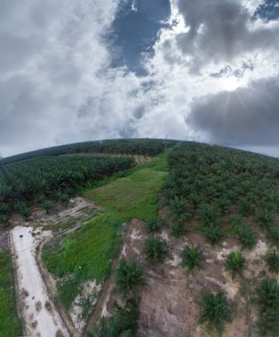 hava panoramik farklı gökyüzü görünümlü tarım çiftliği manzarası.