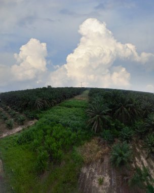 hava panoramik farklı gökyüzü görünümlü tarım çiftliği manzarası.