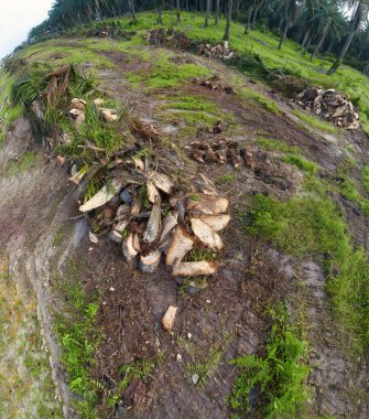 hava panoramik farklı gökyüzü görünümlü tarım çiftliği manzarası.