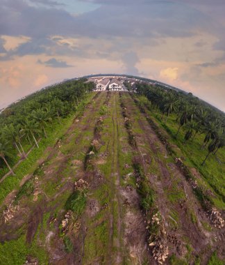 hava panoramik farklı gökyüzü görünümlü tarım çiftliği manzarası.
