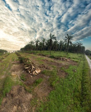 hava panoramik farklı gökyüzü görünümlü tarım çiftliği manzarası.