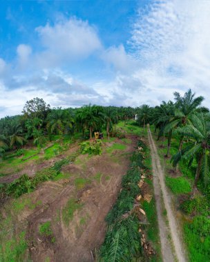 hava panoramik farklı gökyüzü görünümlü tarım çiftliği manzarası.