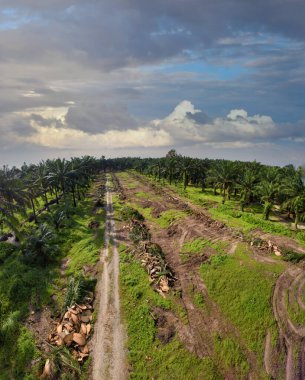 hava panoramik farklı gökyüzü görünümlü tarım çiftliği manzarası.