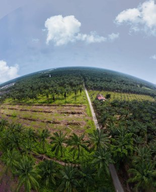 hava panoramik farklı gökyüzü görünümlü tarım çiftliği manzarası.