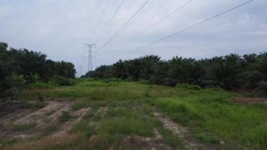 Kırsal bölge çevresindeki yüksek elektrik vericisinin hava görüntüsü..