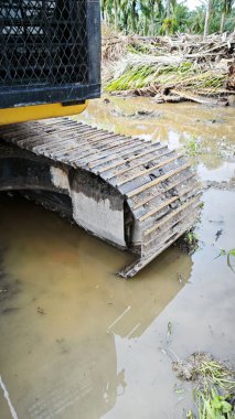 Yığının ve dilimlerin bulunduğu çevre manzarası. Hurma yağı gövdesi günlerce yağmur suyuyla dolduktan sonra tarlada kurutuldu..