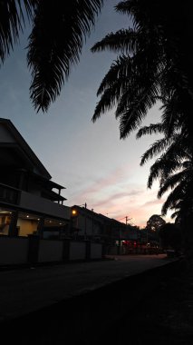 Önünde koyu palmiye ağaçlarının silueti olan renkli şafak vakti gökyüzü..