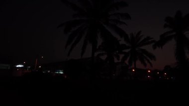 Önünde koyu palmiye ağaçlarının silueti olan renkli şafak vakti gökyüzü..