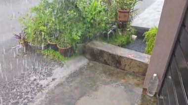 Gündüz vakti asfalt sokağa sağanak yağmur yağıyor.