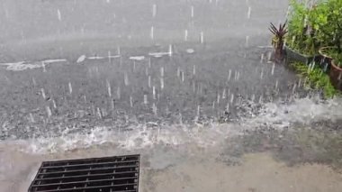 Gündüz vakti asfalt sokağa sağanak yağmur yağıyor.