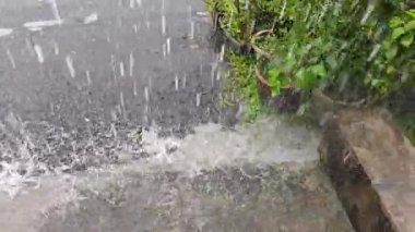 Gündüz vakti asfalt sokağa sağanak yağmur yağıyor.