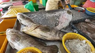 Perak, Malezya. 15 Aralık 2025: Balıkçı sahnesi Epinefhelus balığını Kg Koh 'un ıslak pazarında satılığa çıkarıyor.