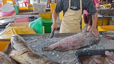 Perak, Malezya. 15 Aralık 2025: Balıkçı sahnesi Epinefhelus balığını Kg Koh 'un ıslak pazarında satılığa çıkarıyor.