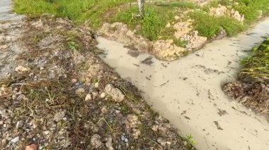 Çiftlik arazisindeki insan yapımı drenaj sistemi..