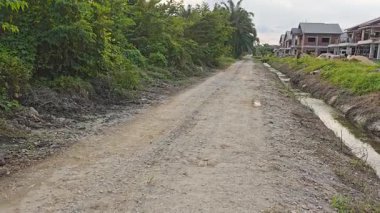 Kirli kırsal yoldaki çalı bitkilerinin sıkıcı akşam görüntüleri..