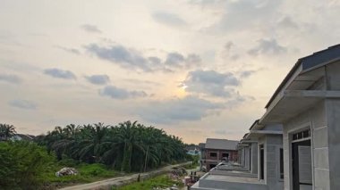 Kirli kırsal yoldaki çalı bitkilerinin sıkıcı akşam görüntüleri..