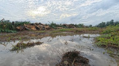 Yağmur suyuyla kaplanmış temiz tarla arazisinin çevresindeki panoramik manzara.