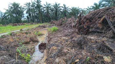 Yağmur suyuyla kaplanmış temiz tarla arazisinin çevresindeki panoramik manzara.
