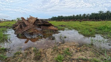 Yağmur suyuyla kaplanmış temiz tarla arazisinin çevresindeki panoramik manzara.